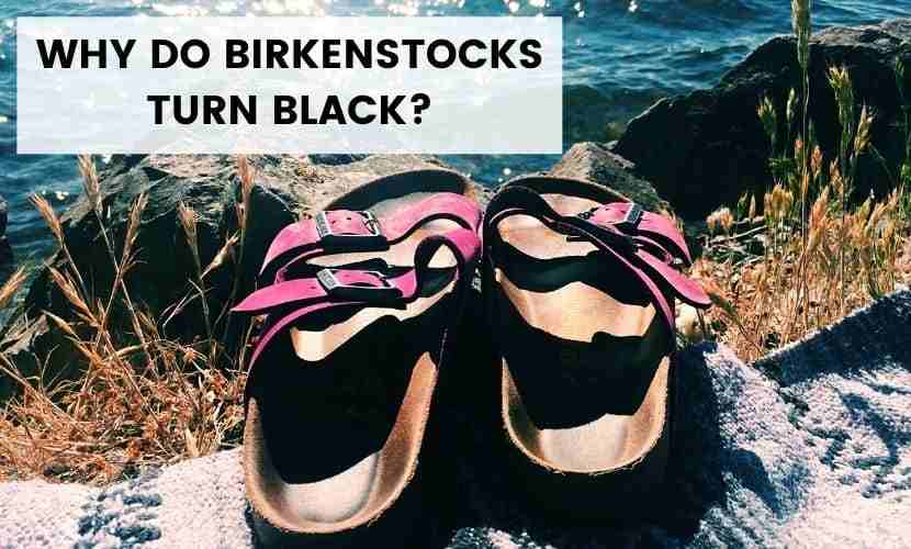 Why Do Birkenstocks Turn Black