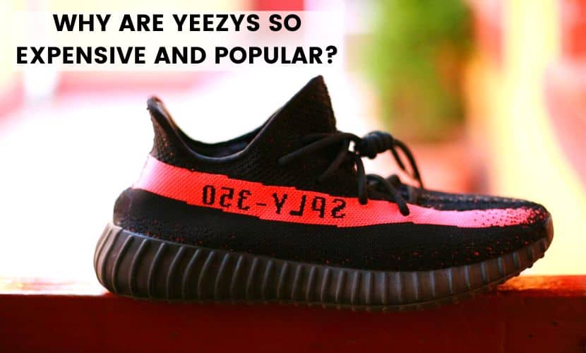 why are yeezys so expensive and popular
