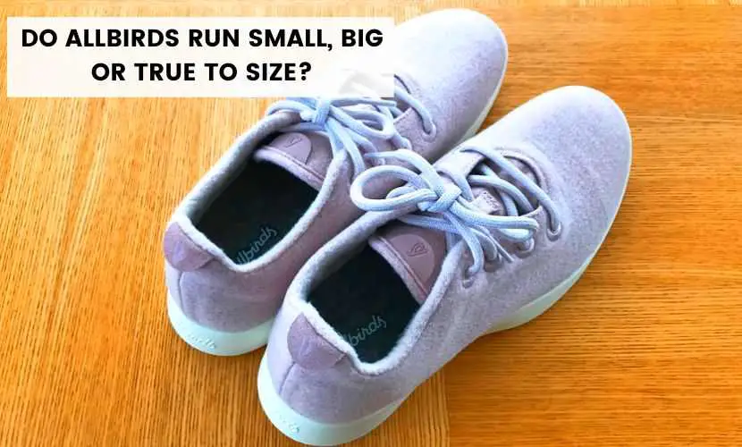 do allbirds run small, big or true to size