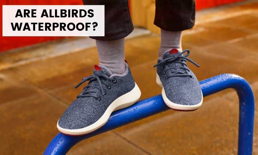 are allbirds waterproof