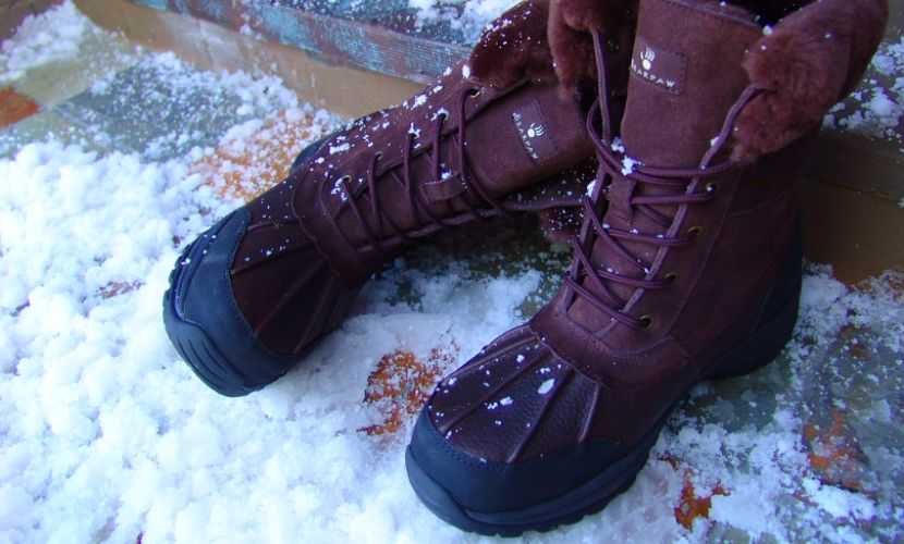 bearpaw boots in snow