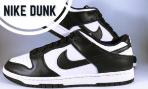 nike dunk anti crease