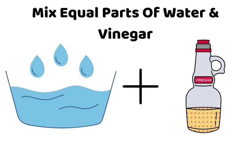 mixture of water and vinegar
