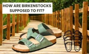 How Are Birkenstocks Supposed To Fit? (Fitting & Sizing Guide!) - Shoes ...