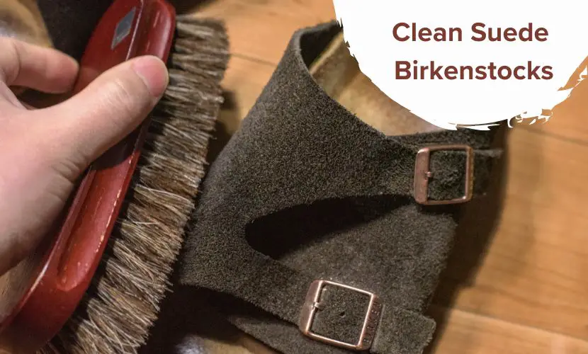Clean Suede Birkenstocks