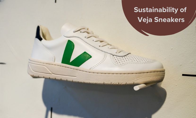 Sustainability of veja sneakers