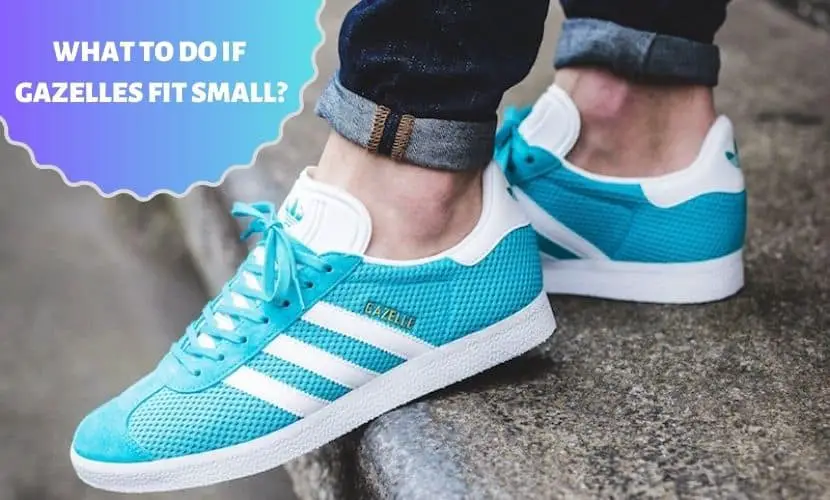 what to do if gazelles fit small