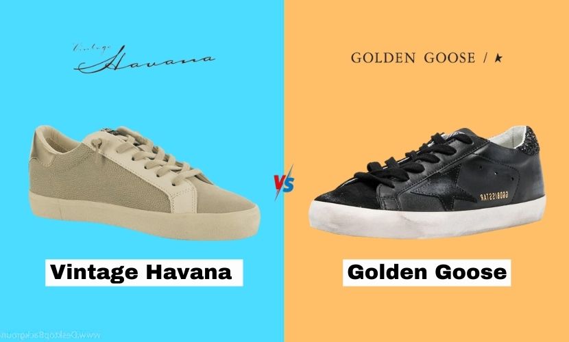 vintage havana vs golden-goose