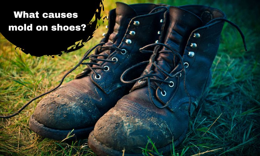 What causes mold on shoes