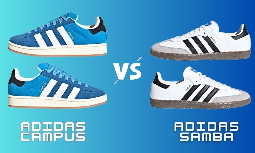 adidas campus vs adidas samba