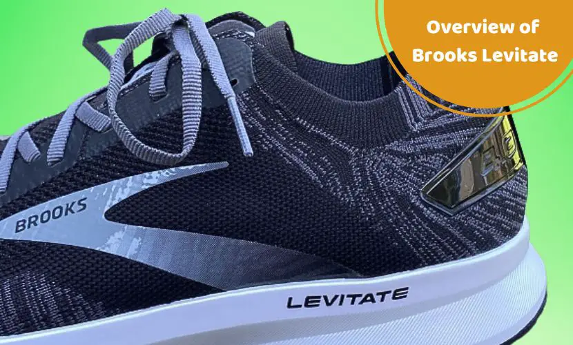 overview of brooks levitate