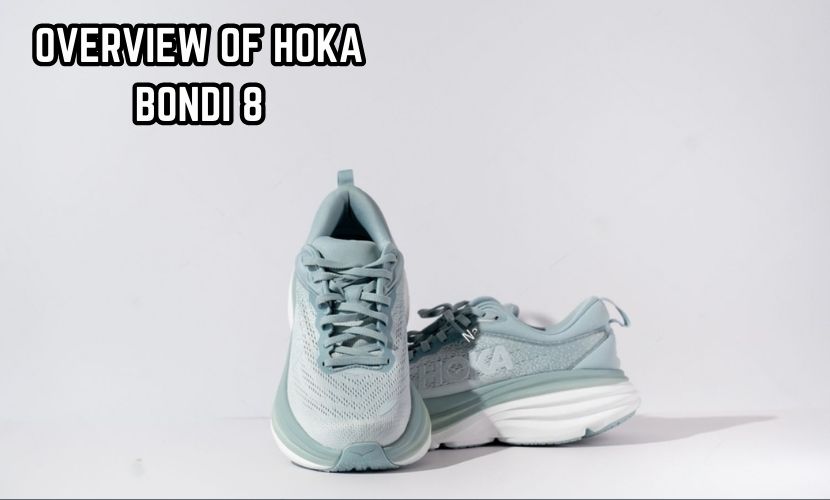 Hoka Bondi 8 Vs Bondi X: Quick Comparison! (Know All The Differences ...