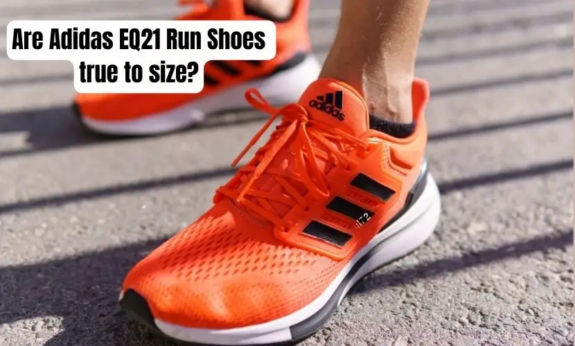 Are Adidas EQ21 Run Shoes  true to size